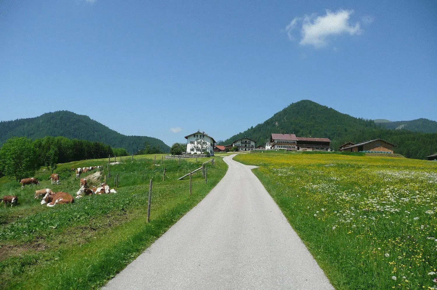 Guest house Gasthof Jachenau